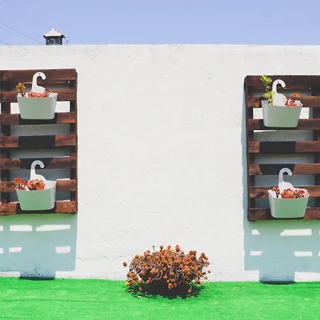 Tree House - Casa Figueira Sesimbra