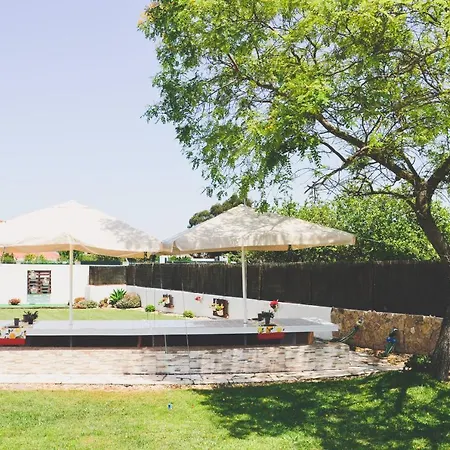 Tree House - Casa Figueira