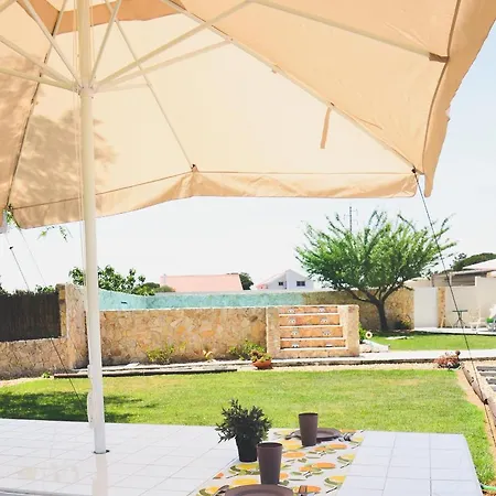 Tree House - Casa Figueira