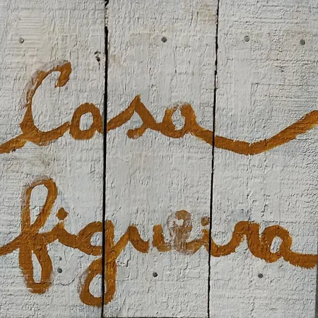 Tree House - Casa Figueira