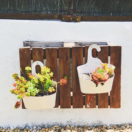 Tree House - Casa Figueira 5*