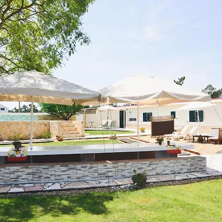 Tree House - Casa Figueira