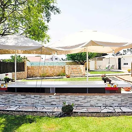 Tree House - Casa Figueira