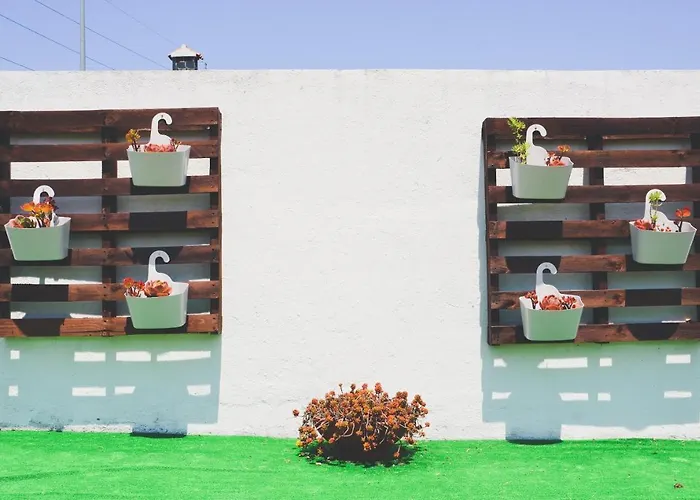 Tree House - Casa Figueira セシンブラ