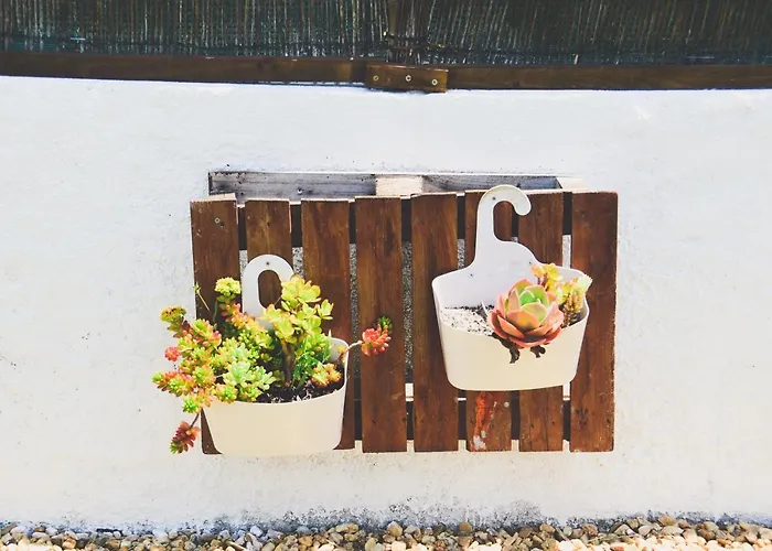 Tree House - Casa Figueira 5*