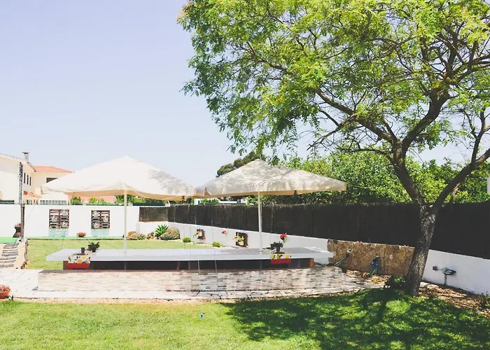 Tree House - Casa Figueira