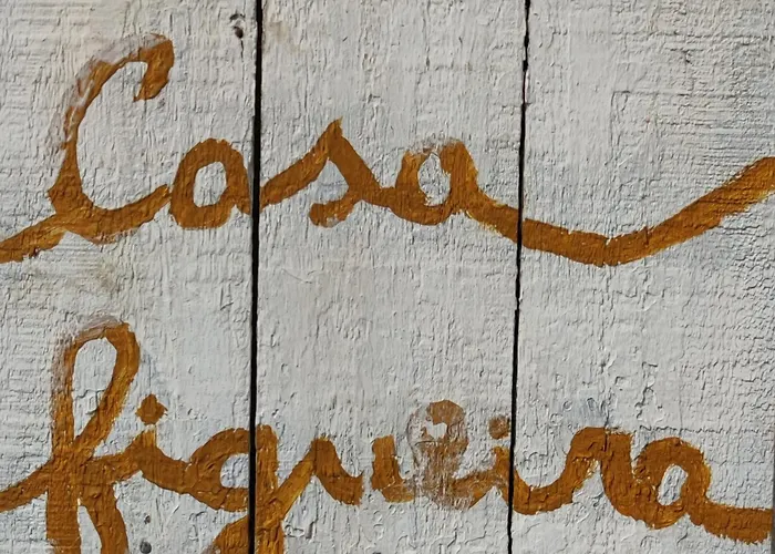 Tree House - Casa Figueira